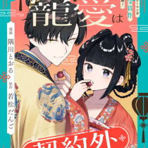 皇帝陛下の寵愛は契約外につき～偽寵妃後宮奮闘記～