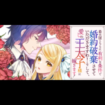 最大限こちらに有利な条件で婚約破棄させていただきますわ！そして、愛しの王太子様に嫁ぎます！