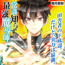常識知らずの最強魔導師