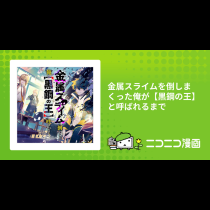 金属スライムを倒しまくった俺が【黒鋼の王】と呼ばれるまで
