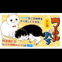 ツレ猫 マルルとハチ