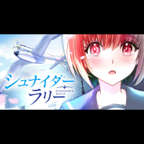 シュナイダーラリー
