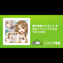 婚約破棄されました 本気出していいですよね THE COMIC