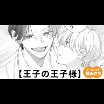 【無料】王子の王子様