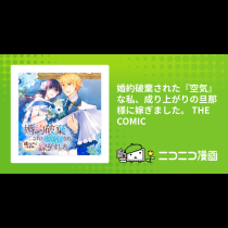 婚約破棄された『空気』な私、成り上がりの旦那様に嫁ぎました。 THE COMIC