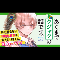 あくまでクジャクの話です。