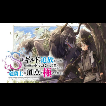 Ｓ級ギルドを追放されたけど、実は俺だけドラゴンの言葉がわかるので、気付いたときには竜騎士の頂点を極めてました。