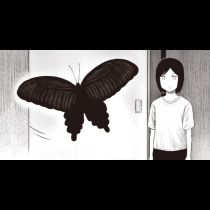 奇跡の蝶