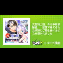 元聖騎士団、今は中級冒険者。　迷宮で捨てられた奴隷にご飯を食べさせたら懐かれました
