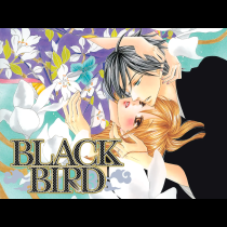 BLACK BIRD
